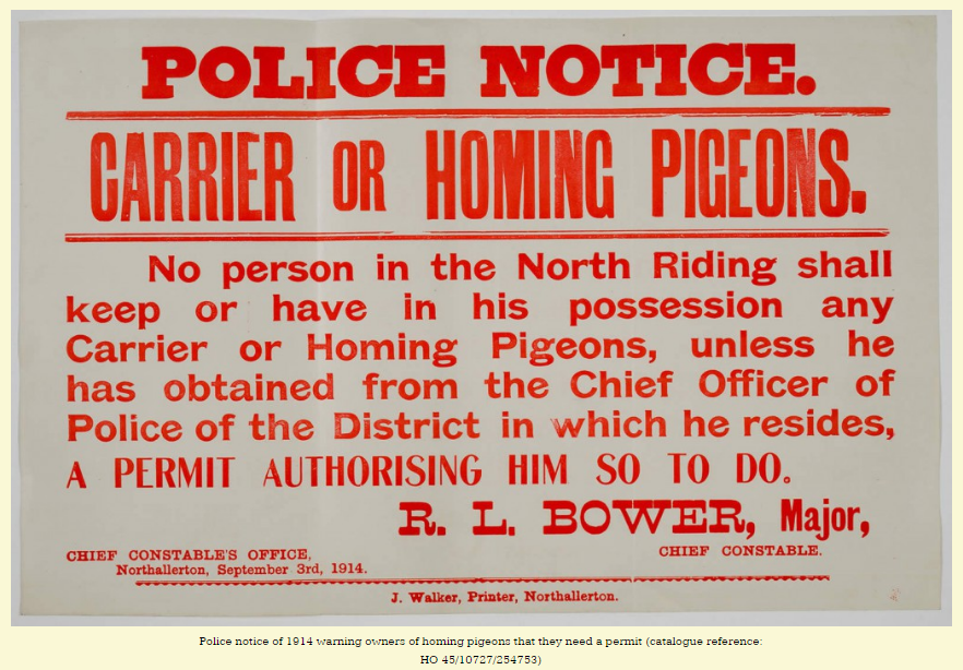 policing-carrier-pigeons