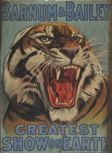 Barnum and Bailey Poster of a tiger
